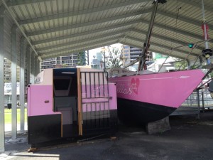 Ella's Pink Lady shelter