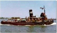 Expo 88 Forceful