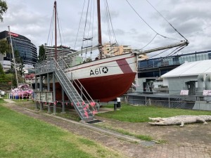 Penguin visitor viewing platform