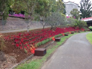 Project Poppy